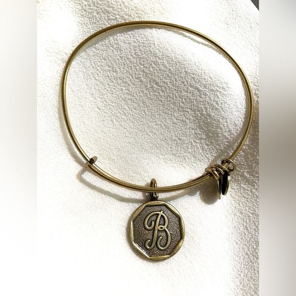 Lot of 14 ALEX & ANI meaningful bracelets, entire lot $121 (total value of $797) - Picture 10 of 14